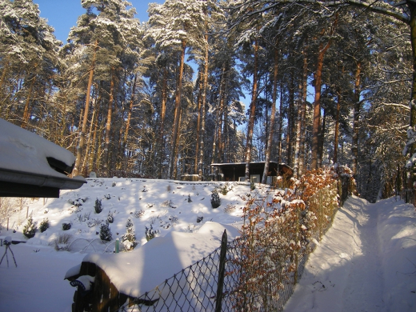 Bungalow Bild 10